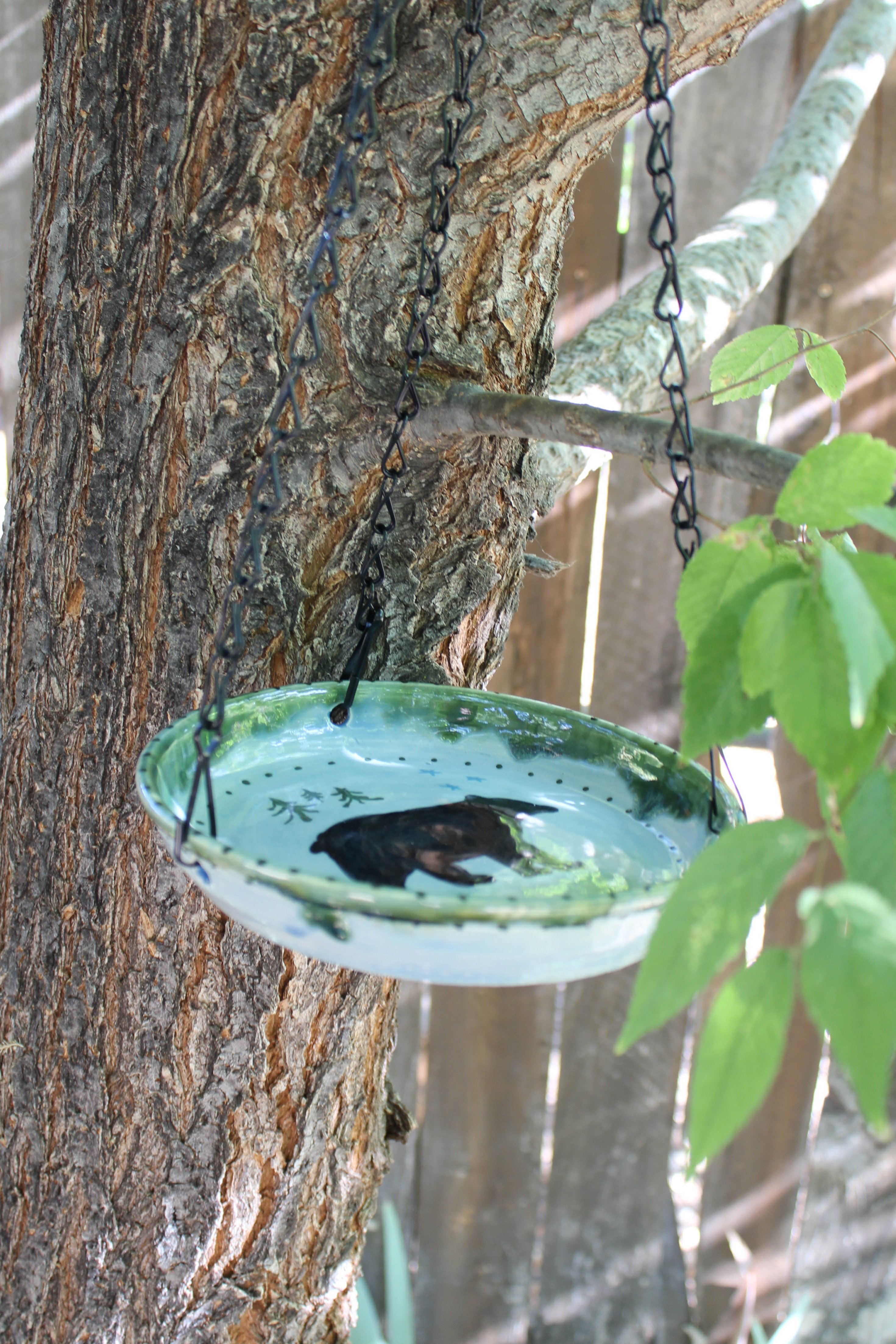 Black Bear Bird Feeder, Bee Water Dish | Wild Crow Farm