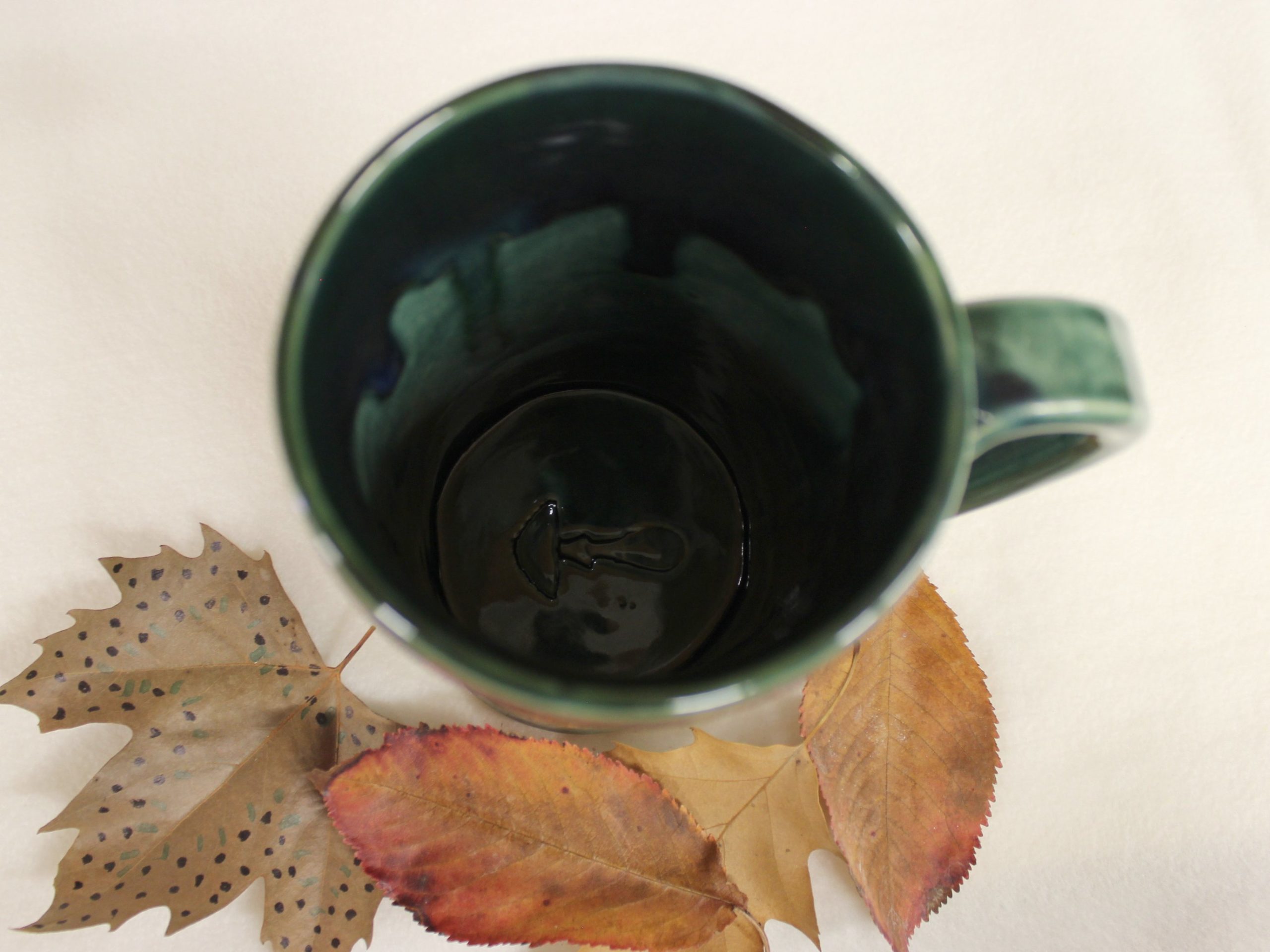 Magic Winged Frog with Toadstools Ceramic Mug